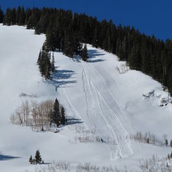 Avalanche