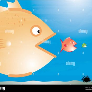 Fish Eat Getting Big